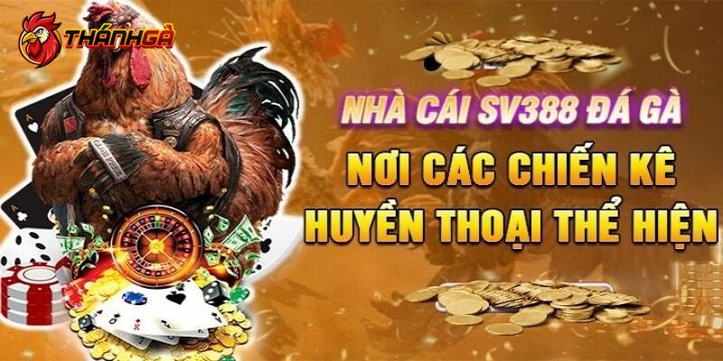 Sới gà mang đến hàng loạt kèo cược cực hot