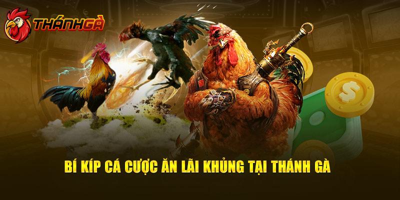 Các loại hình đá gà được ưa chuộng hàng đầu tại website năm 2024